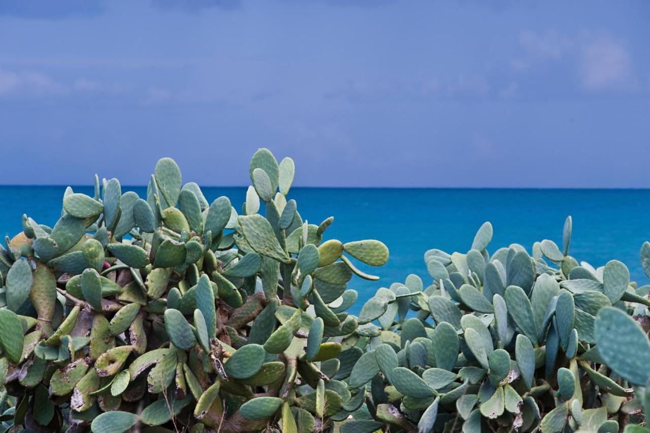 La Terrazza Di Puglia Apartment Conversano Bagian luar foto